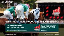 Poules 26