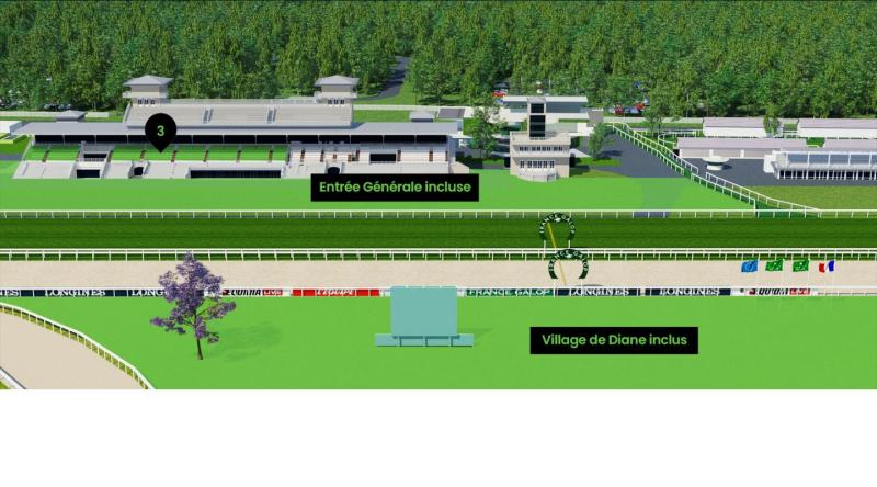 Diane_tribune_arrivee_fr